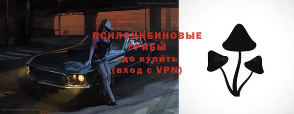 молекула духа Козловка