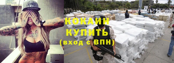 молекула духа Козловка