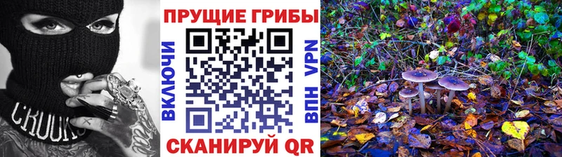 Псилоцибиновые грибы GOLDEN TEACHER  Купить  Симферополь 